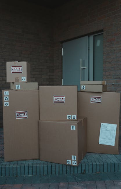 Two women are standing inside a residential property, surrounded by stacked cardboard boxes of various sizes, some sealed with red packing tape. One woman, wearing a plaid shirt and beige trousers, is